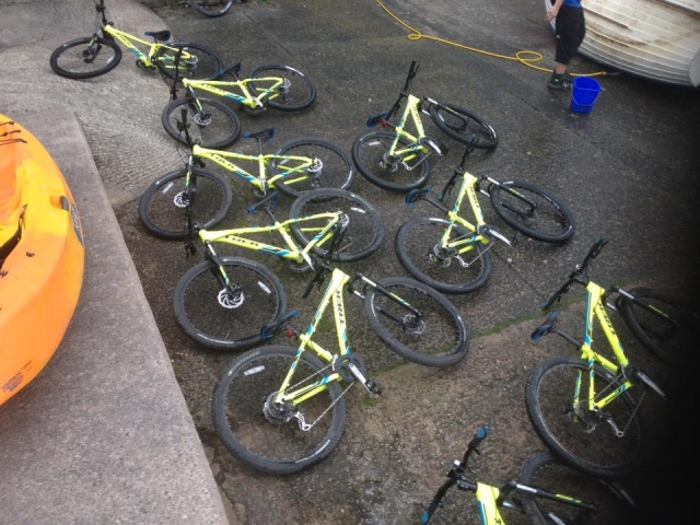  Bicicletas de cerro listas para la acción 